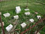 image of grave number 200950